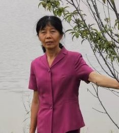 54体育稳定线路